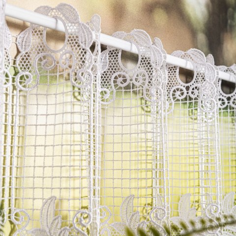 Zazdrostka gipiurowa, wys. 30cm, kolor biały 016409/447/001/000030/1