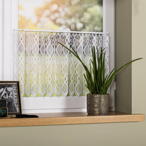 Zazdrostka gipiurowa, wys. 40cm, kolor biały 016472/447/001/000040/1