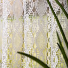 Zazdrostka gipiurowa, wys. 40cm, kolor biały 016472/447/001/000040/1