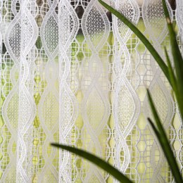 Zazdrostka gipiurowa, wys. 60cm, kolor biały 016472/447/001/000060/1