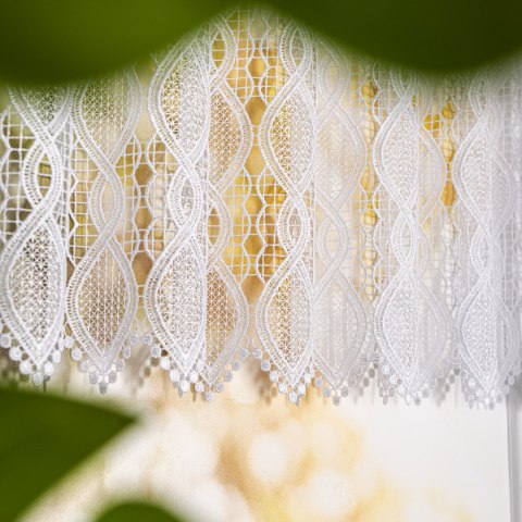 Zazdrostka gipiurowa, wys. 60cm, kolor biały 016472/447/001/000060/1