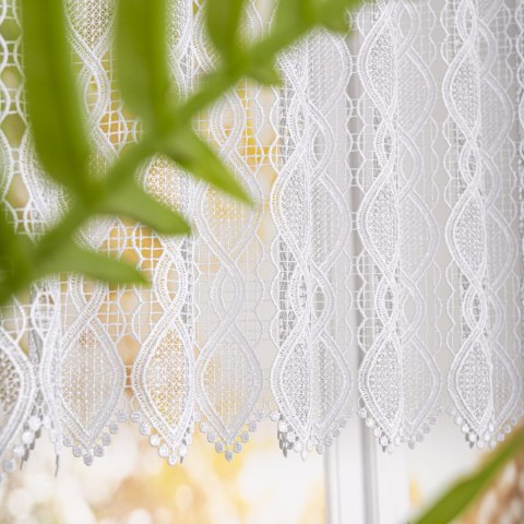 Zazdrostka gipiurowa, wys. 90cm, kolor biały 016472/447/001/000090/1