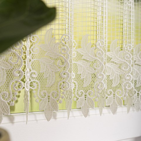 Zazdrostka gipiurowa, wys. 90cm, kolor 010 naturalny 016409/447/010/000090/1