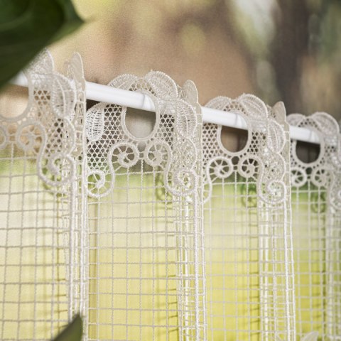 Zazdrostka gipiurowa, wys. 90cm, kolor 010 naturalny 016409/447/010/000090/1