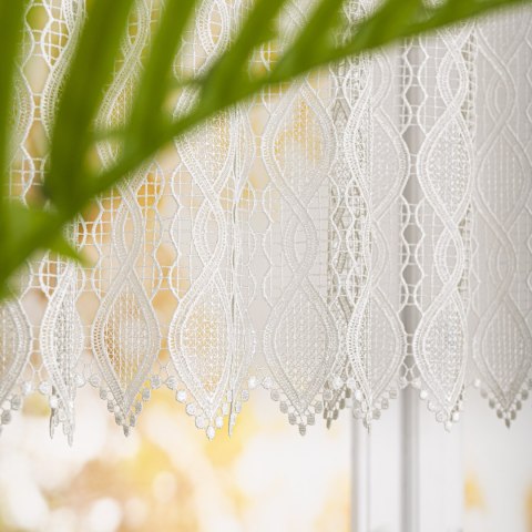 Zazdrostka gipiurowa, wys. 90cm, kolor 010 naturalny 016472/447/010/000090/1