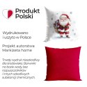 MIKOŁAJ BAJKOWE ŚWIĘTA Poszewka dekoracyjna MILAS, 45x45cm, kolor 001 ( do wyczerpania zapasu) PBN330/POP/501/045045/1
