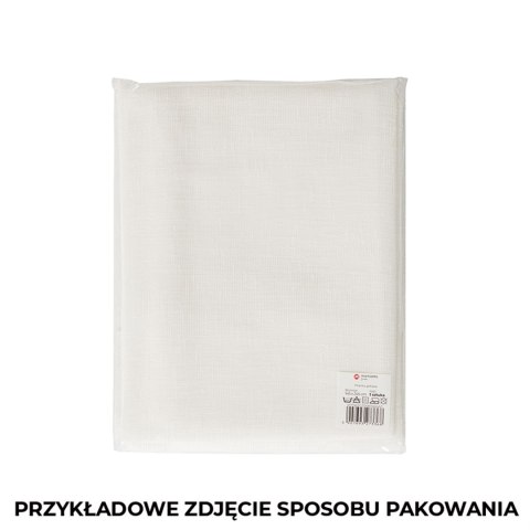 ETAMINA Firana gotowa na srebrnych przelotkach, 250x400cm, kolor biały ETAMIN/FGP/001/400250/1